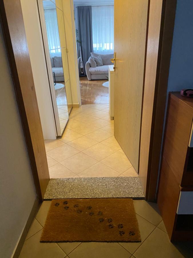 Apartman Miriam زادار المظهر الخارجي الصورة